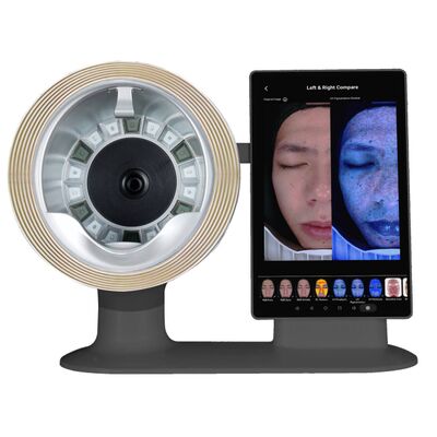 ซื้อ เครื่องวิเคราะห์ผิวหนัง AI, เครื่องตรวจจับหนังศีรษะสำหรับคลินิกพร้อมการตรวจจับใบหน้า/หนังศีรษะด้วย AI online manufacture