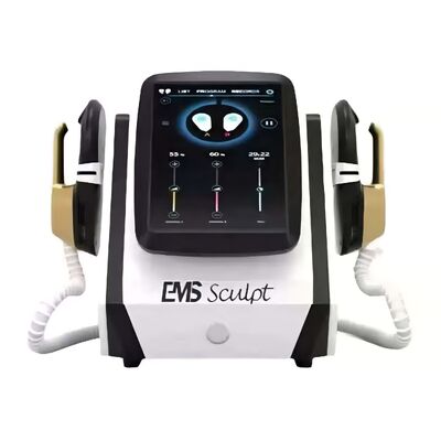 Buy Desktop EMS Muscle Sculpting Machine , Compact RF Body Contouring Device For Beauty Studios online manufacture