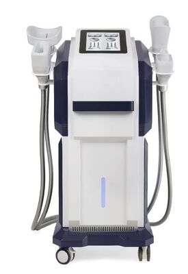buy 360° Cryolipolysis Machine | Professional Fat Freezing online manufacture