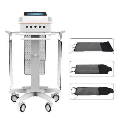 buy Red Light Therapy Blanket | 650nm + 940nm Near-Infrared Light Red Light Therapy Blanket online manufacture
